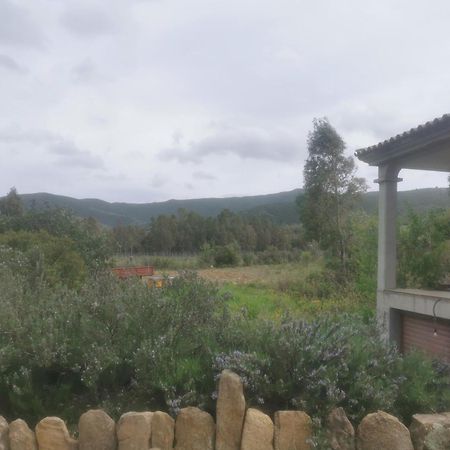 Localita Zarvenu Villa Siniscola Luaran gambar