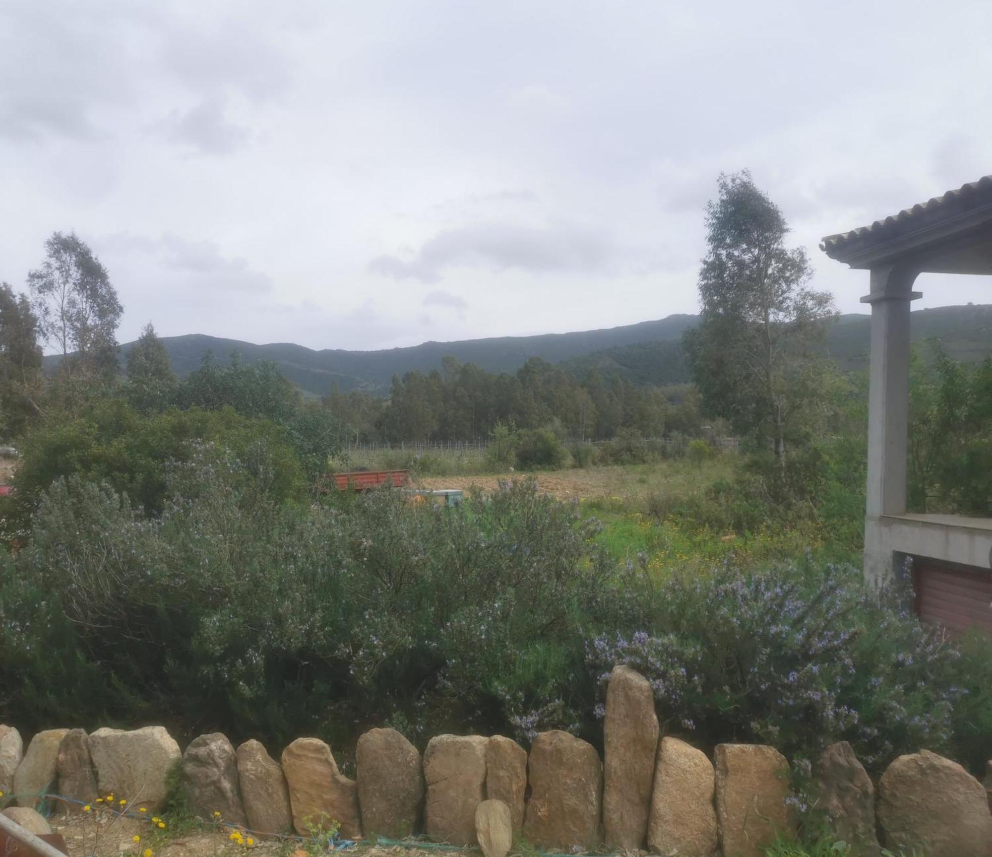 Localita Zarvenu Villa Siniscola Luaran gambar